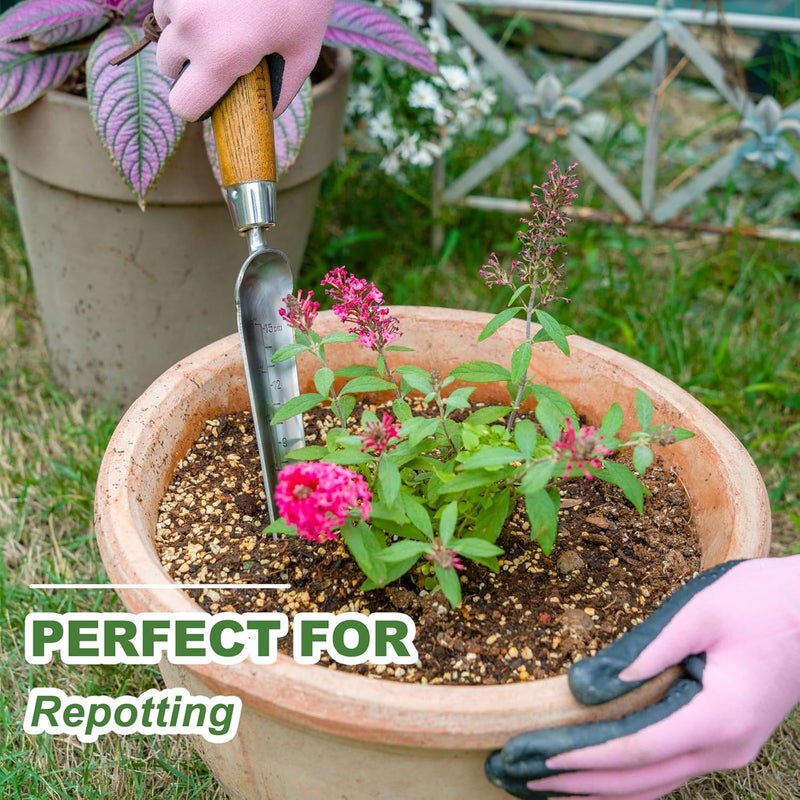 Haliaeetus Seeding Widger with 6'' Scale, Stainless Steel Planting Trowel for Repotting, Long and Narrow Widger for Weeding from Tight Areas, Hand Transplanter with Wood Handle for Planting, Digging - Image 3